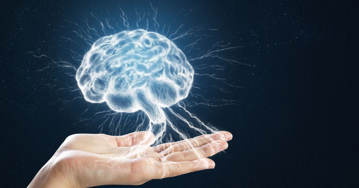 機能的に優れた脳とは？