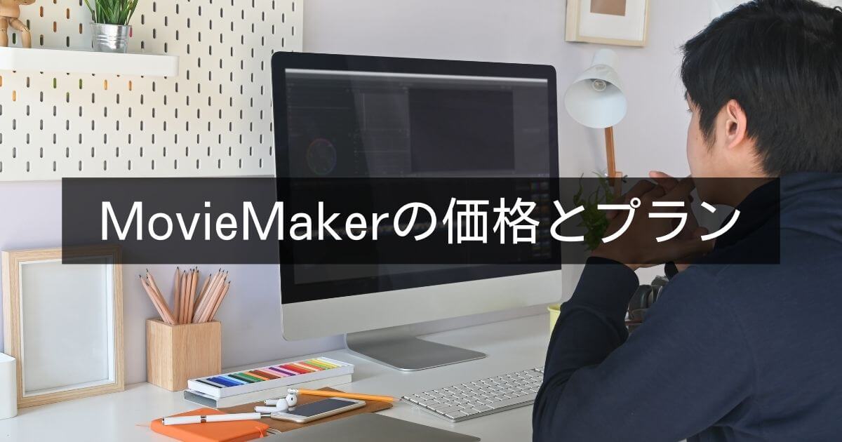 MiniTool MovieMakerの価格とプラン