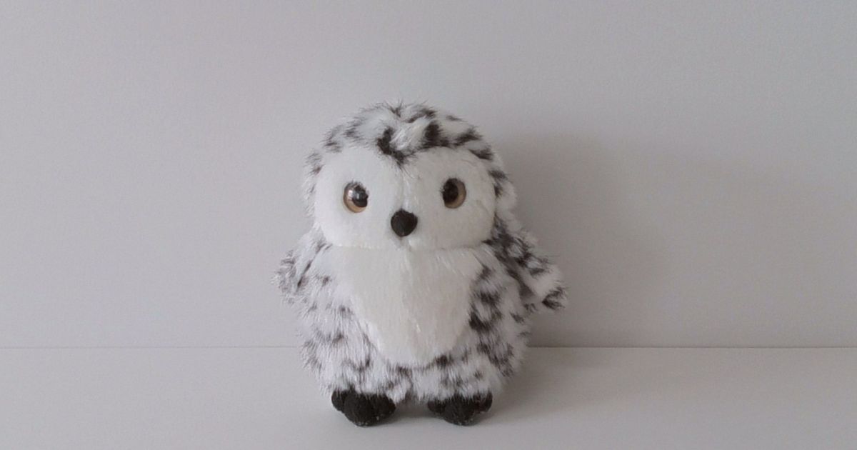 Dell 14_カメラ質