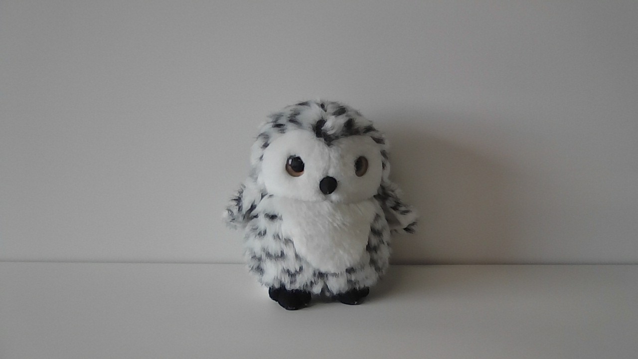 LAVIE Direct N14 Slim_カメラ