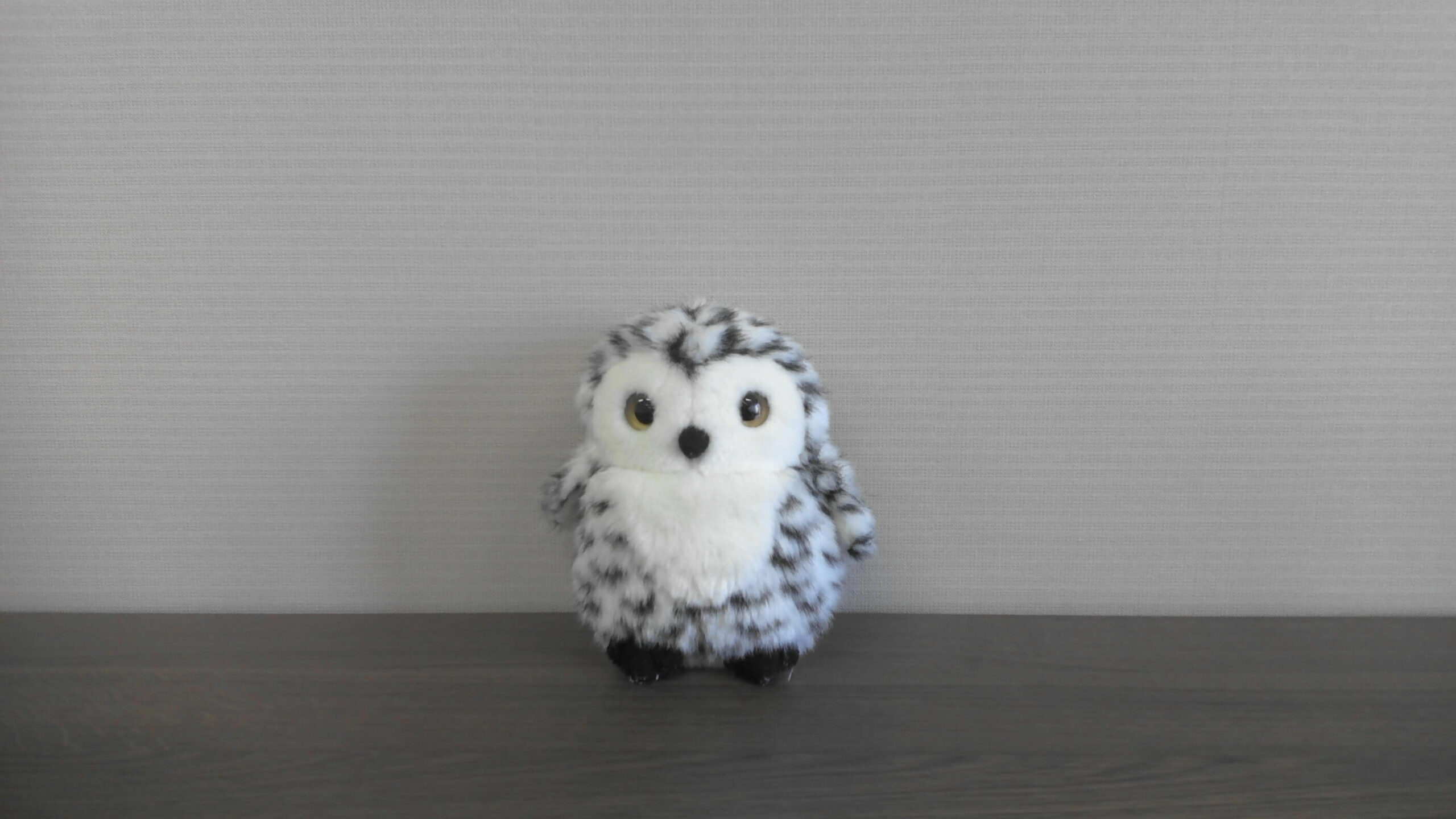 HP OmniBook 7 Aero 13-bg_WEBカメラ