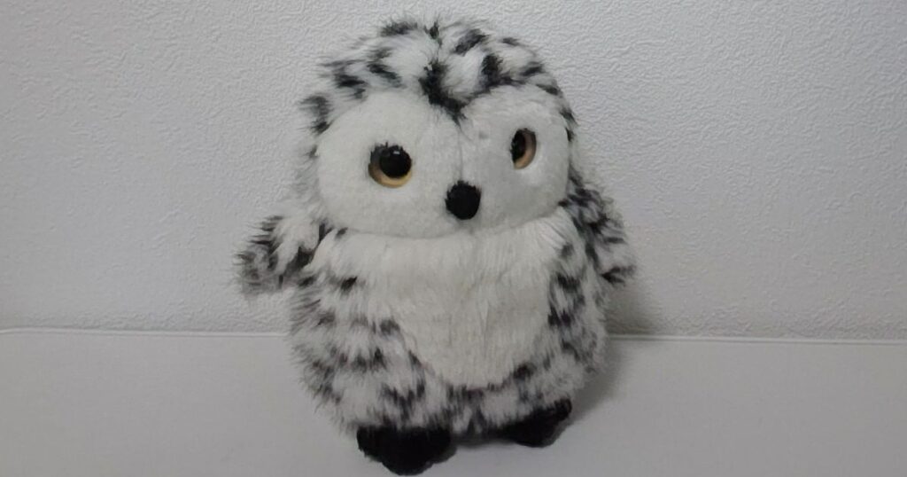 Lenovo IdeaPad Slim 5 Gen 10カメラ画像