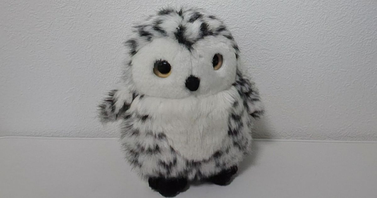 Lenovo IdeaPad Slim 5 Gen 10カメラ画像