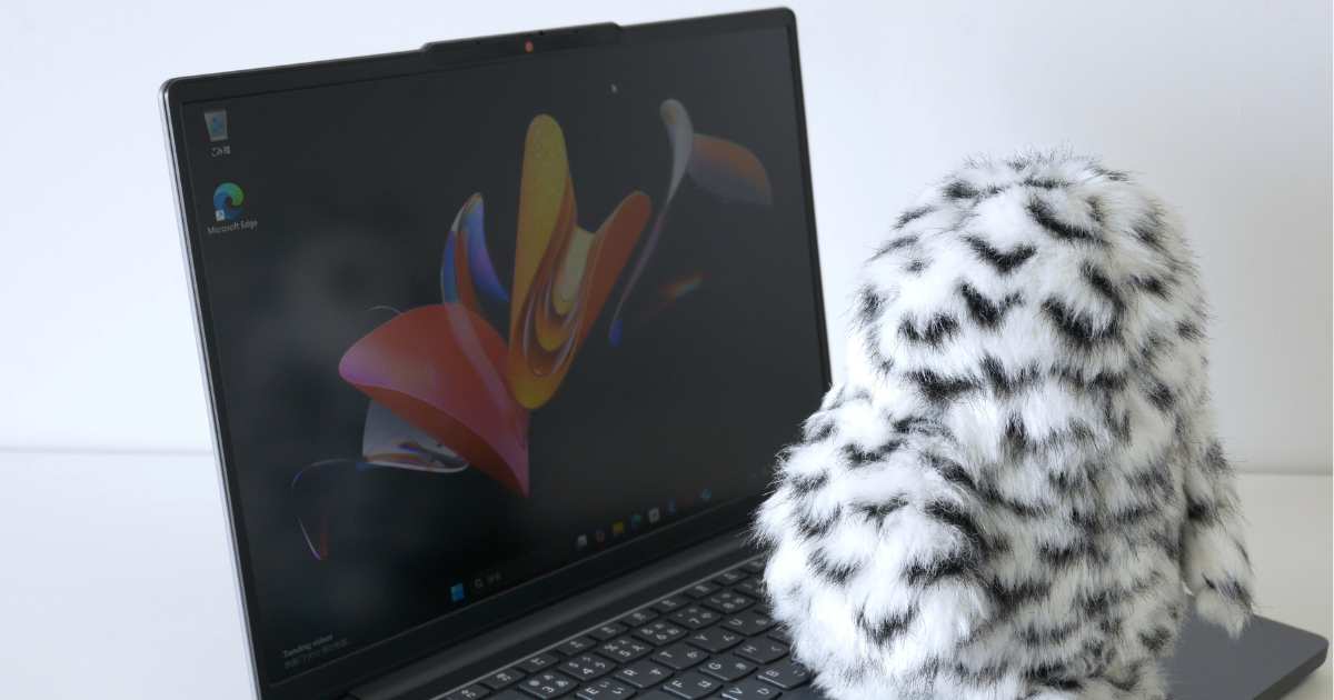 IdeaPad Slim 3 Gen 10_画面映り